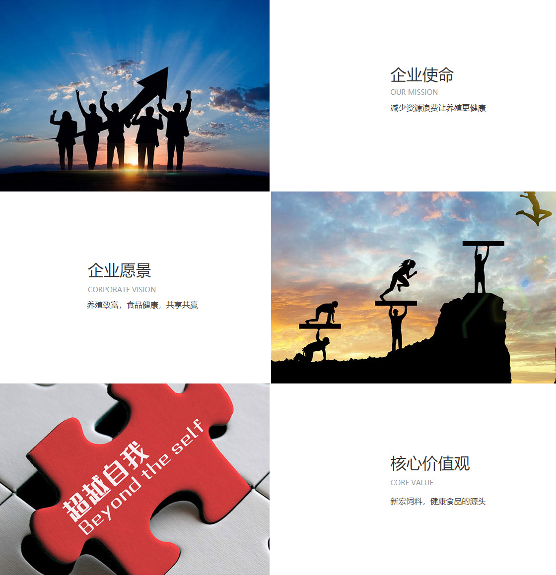 BETS10(图2)